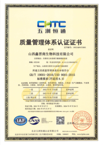 ISO 9001