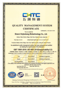 ISO 9001