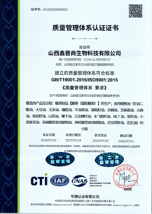ISO 9001