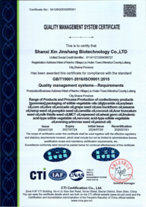 ISO 9001